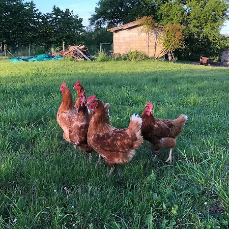Bed & Breakfast Au Pré De Karine