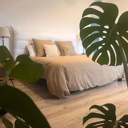 Bed & Breakfast Au Pre De Karine Cuneges