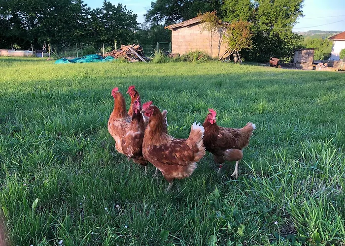 Bed and breakfast Au Pré De Karine